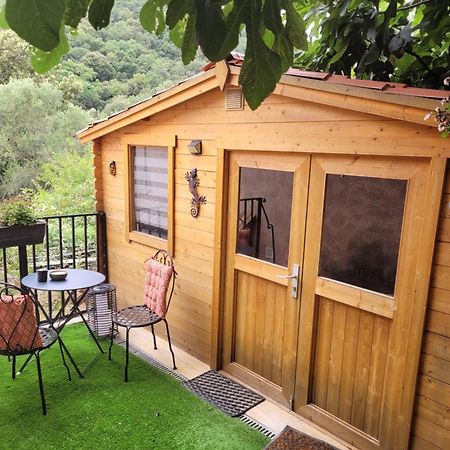 Loue Chalet De 11M2 斯涅河畔奥日布 外观 照片